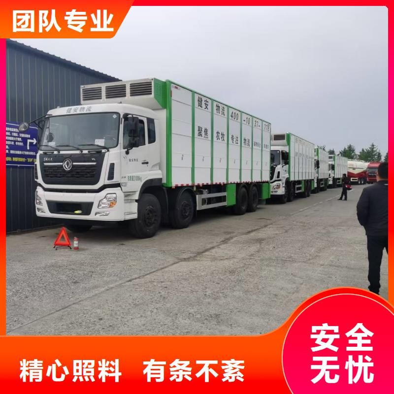 洛阳到怒江活禽运输保障有力