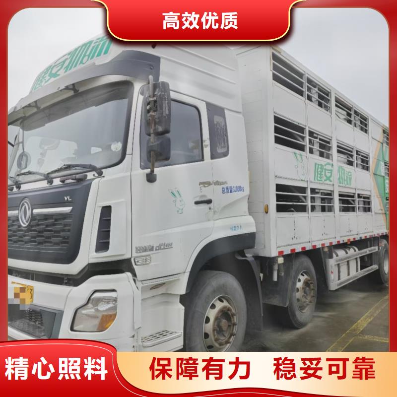 宿迁市泗阳到浙江牛运输专用车放心省心