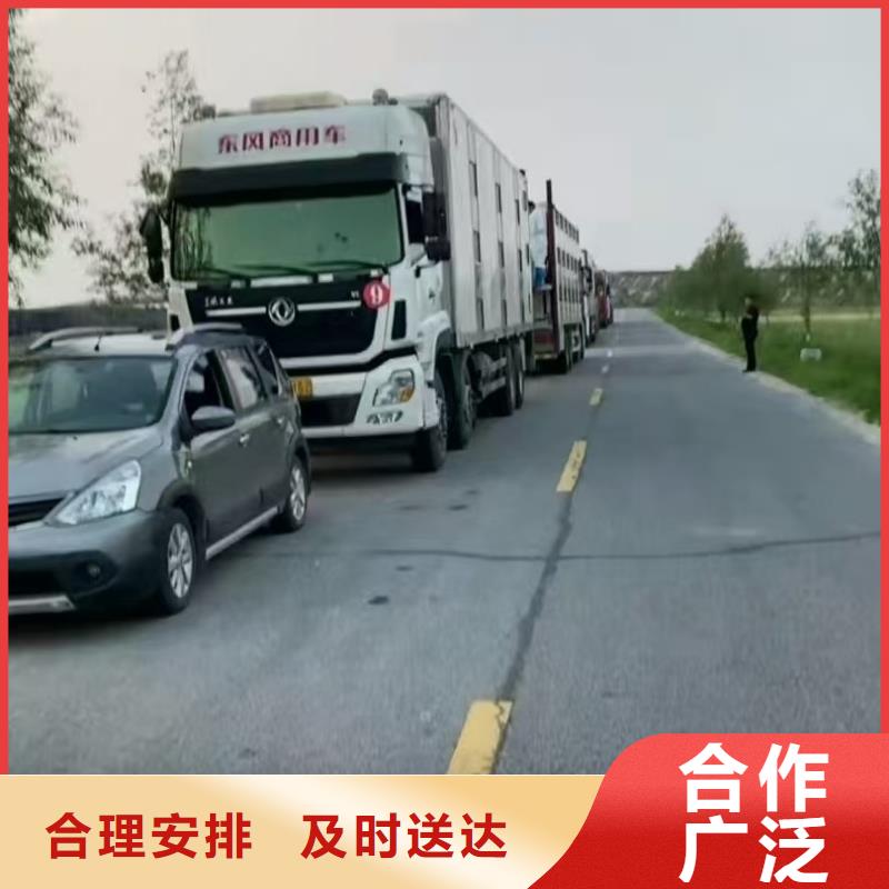 宿迁市到安庆仔猪空调车运输放心省心