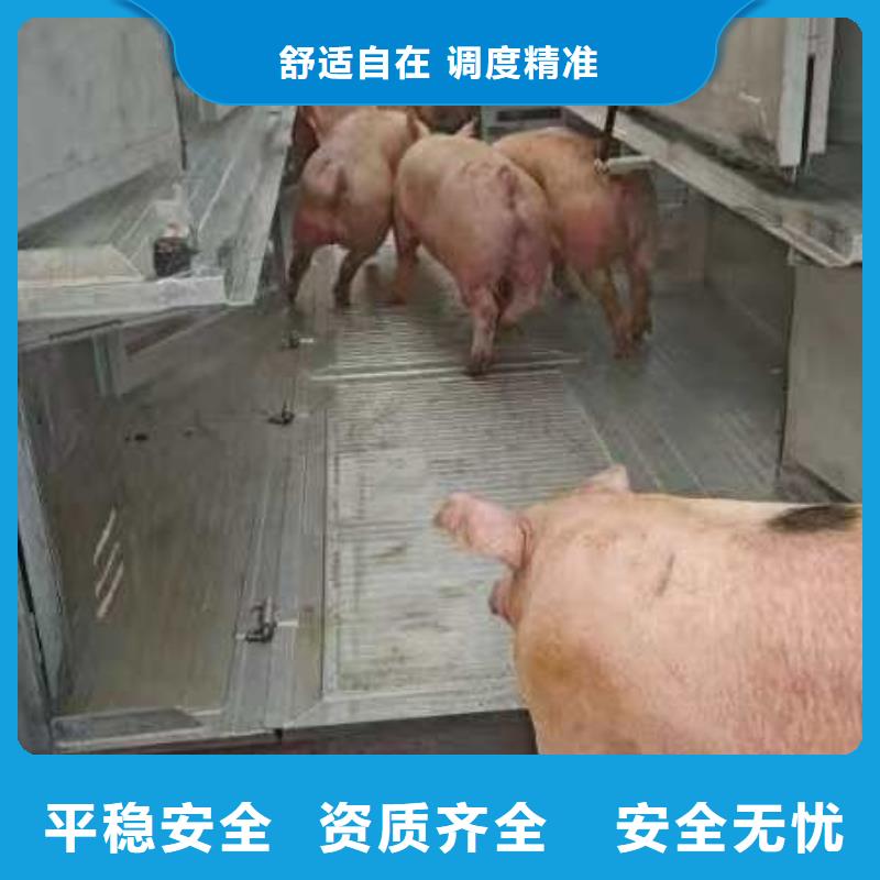 宿迁到许昌农牧运输资源充足