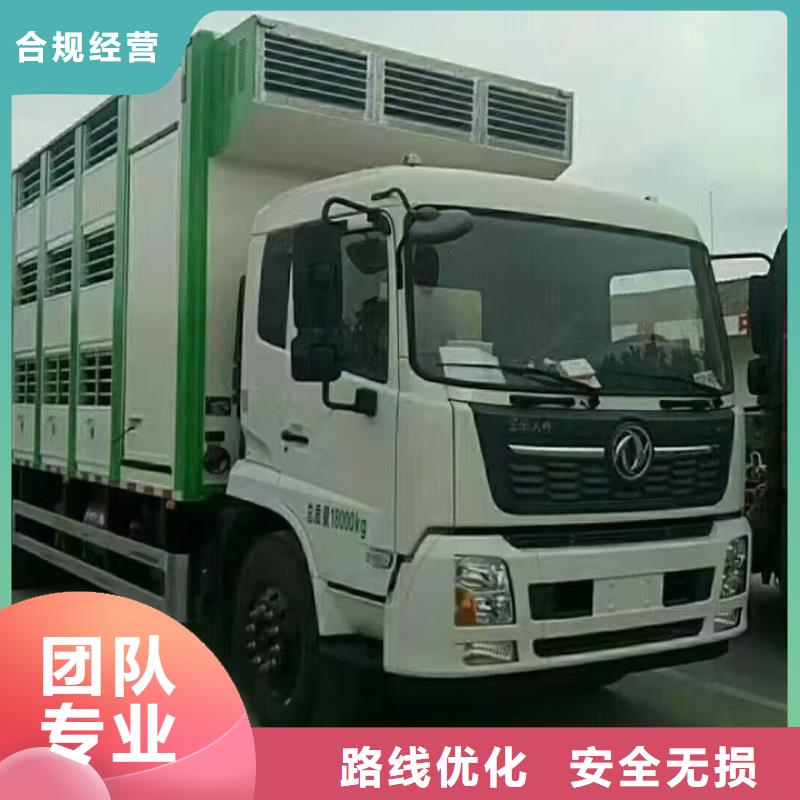 金华到毕节仔猪恒温车运输创新进取