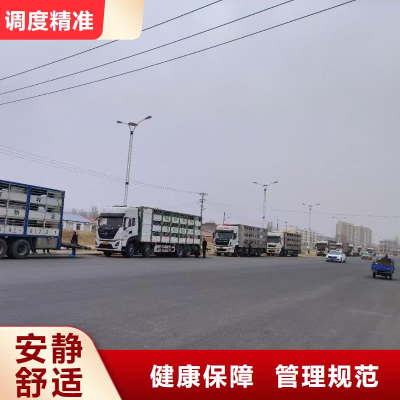 宿迁市到菏泽散装料专用车及时送达