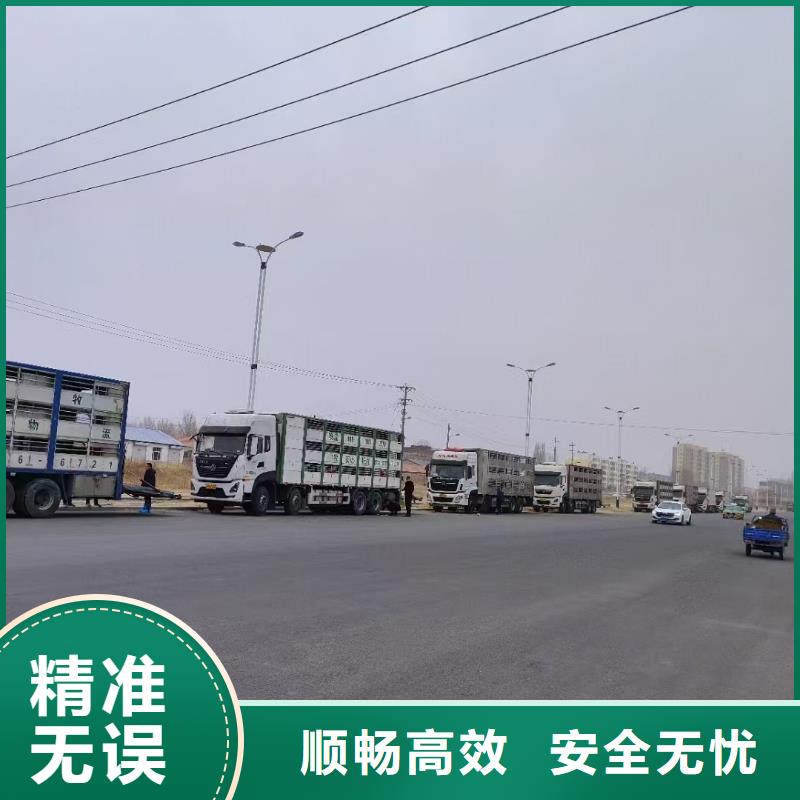 宿迁市到淮北二育运输快捷准时