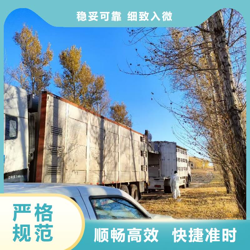 宿迁市沭阳到三门峡猪只贸易科学运输