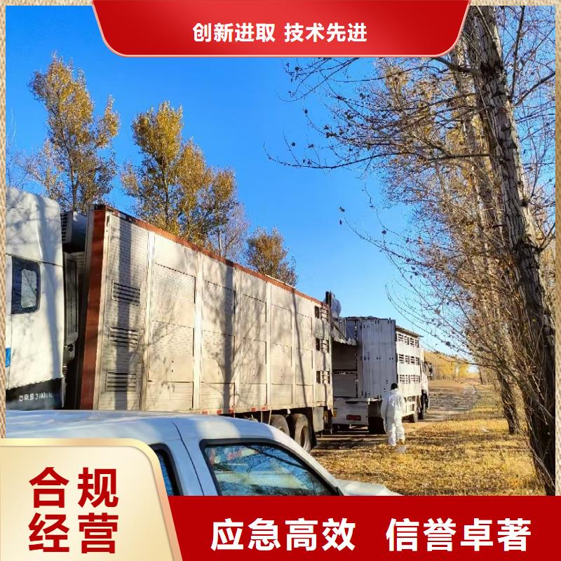 宿迁市泗洪到淮北猪牛羊运输透明