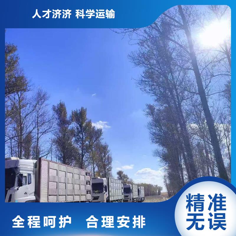 泰安到景德镇二育运输调度精准