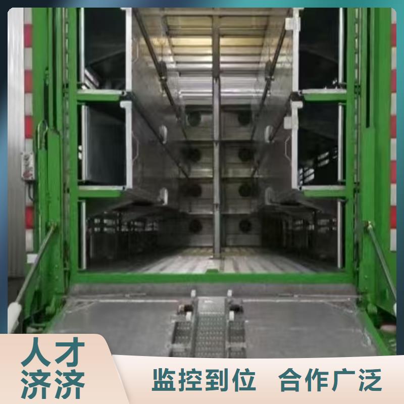 宿迁市泗阳到安徽生猪运输放心省心
