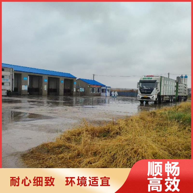 宿迁到新华仔猪空调车运输线上可查