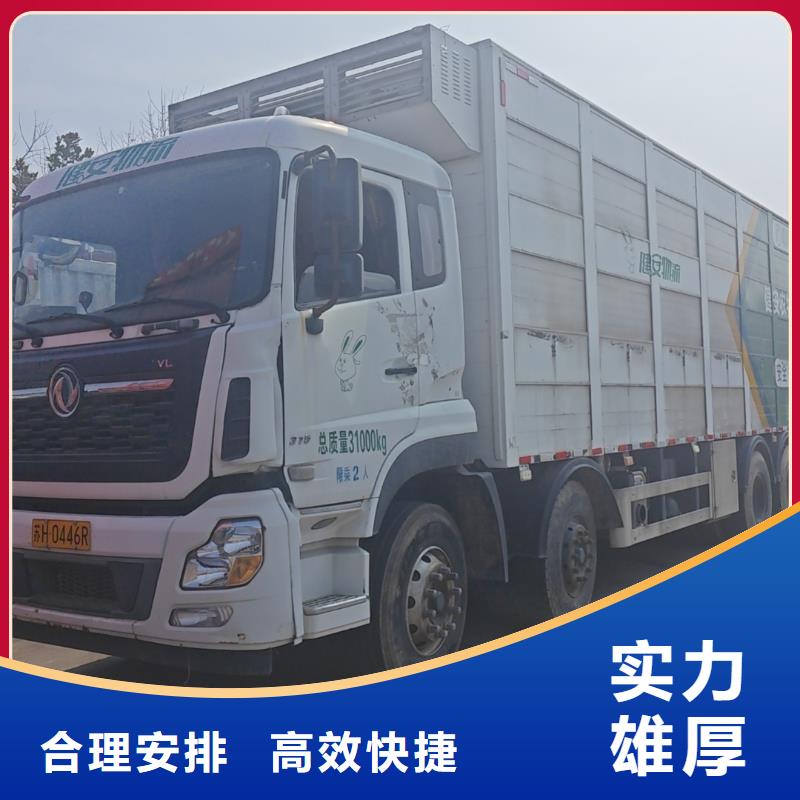 宿迁市沭阳到扬州猪笼车运输天天发车