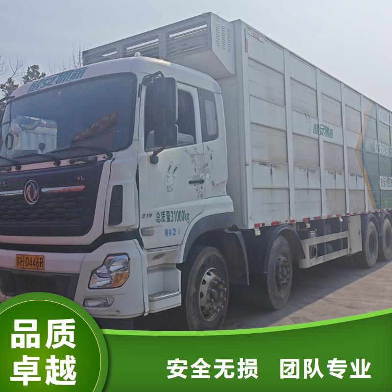 宿迁到淮南仔猪运输自有运输车队
