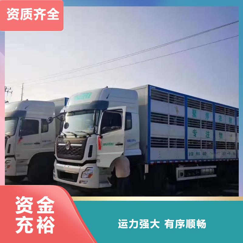 宿迁到虞城猪笼车运输车型丰富
