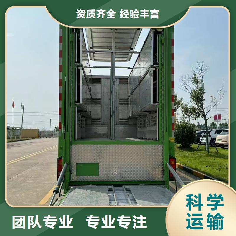宿迁市到信阳活禽运输保障有力