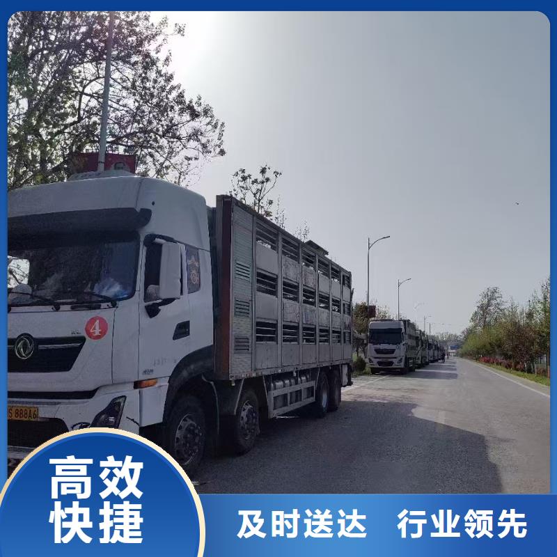 宿迁市泗阳到盐城农牧运输资质齐全