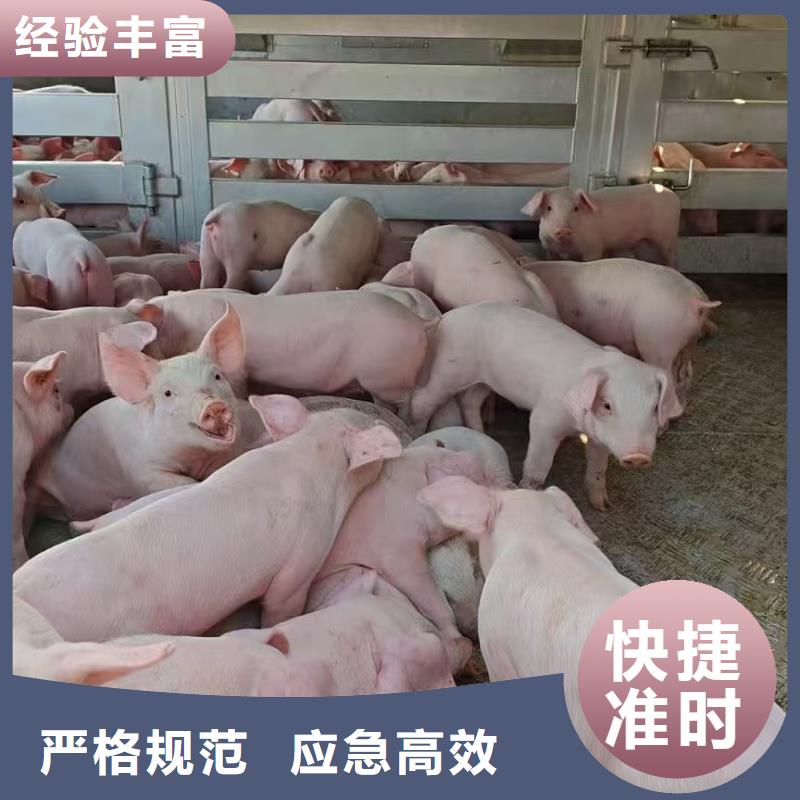 烟台到深圳原料运输保障有力