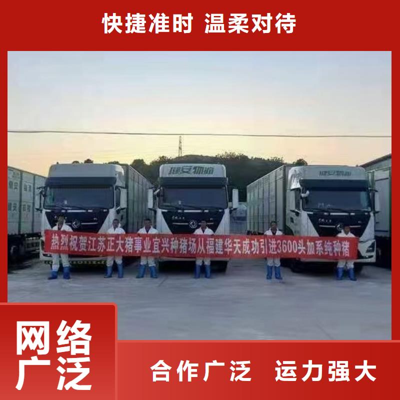 宿迁市泗阳到淮南活禽物流整车运输