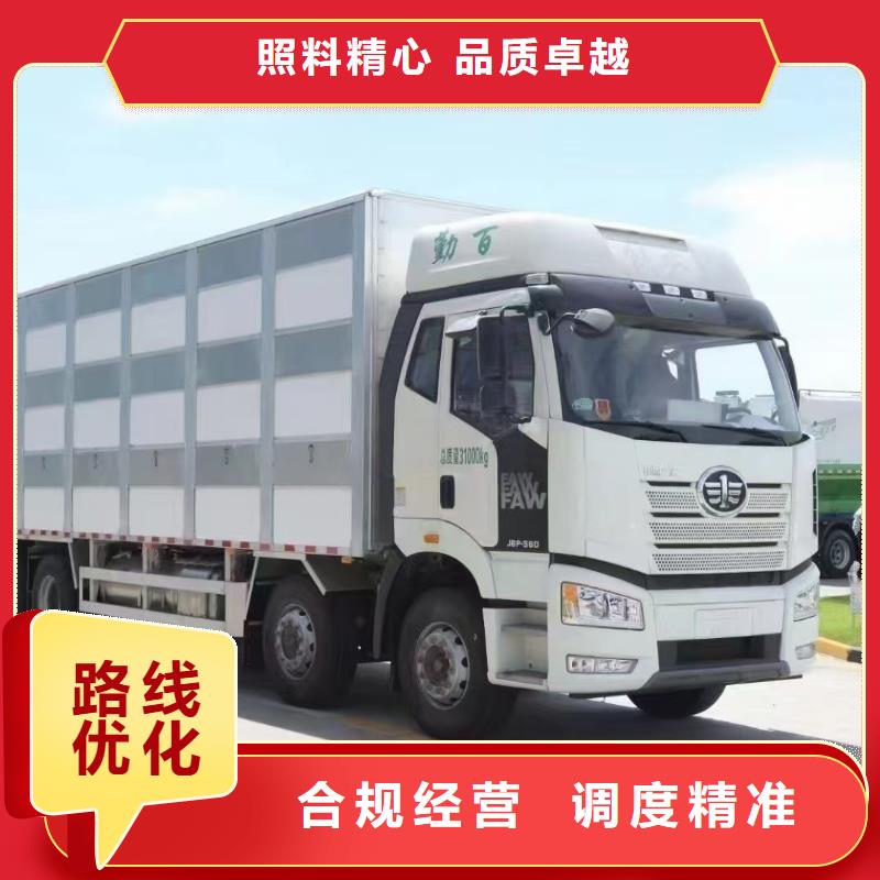 宿迁市泗阳到衢州猪只贸易车型丰富