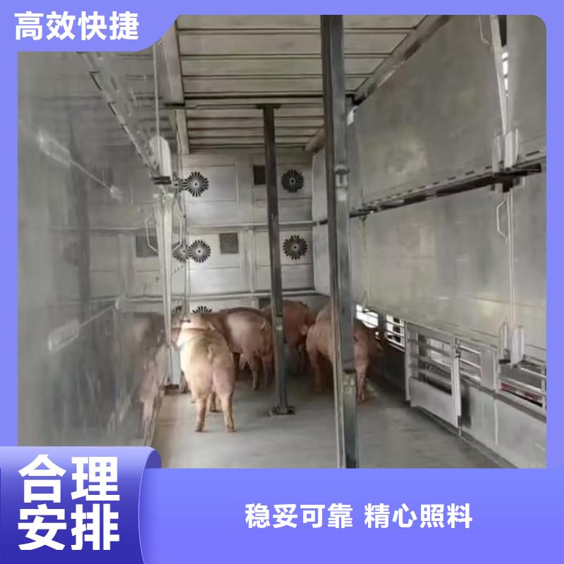 宿迁市泗洪到滁州生猪运输信誉卓著