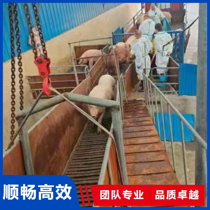 宿迁市到芜湖畜禽物流资质齐全