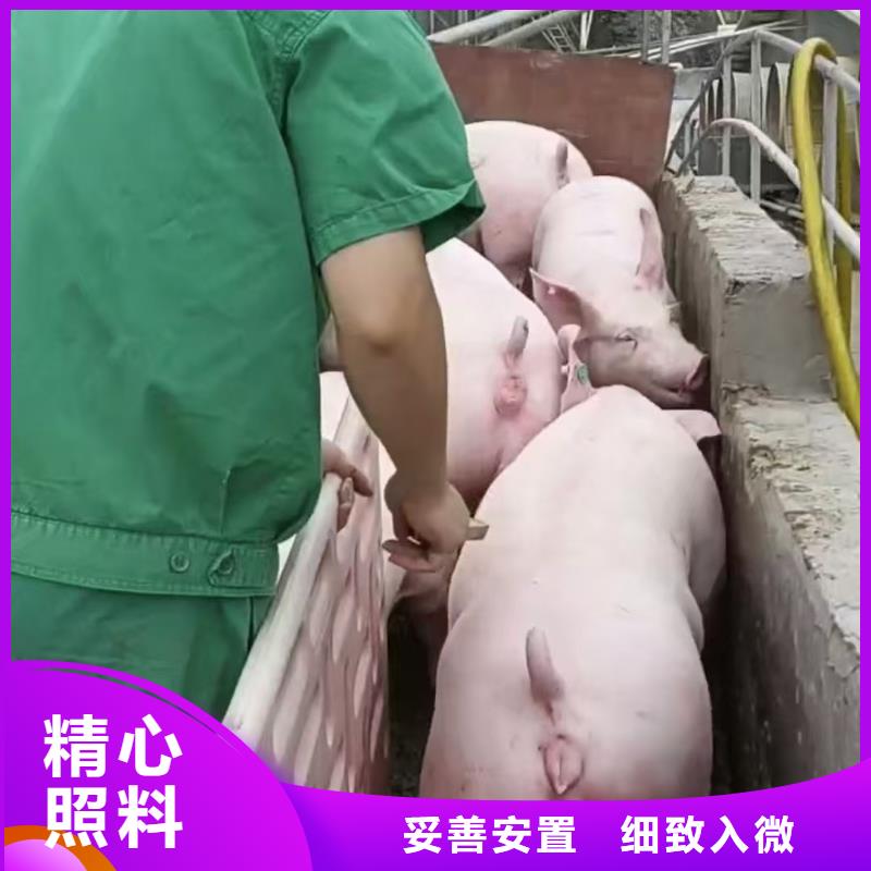 宿迁市到台州原料运输全程呵护