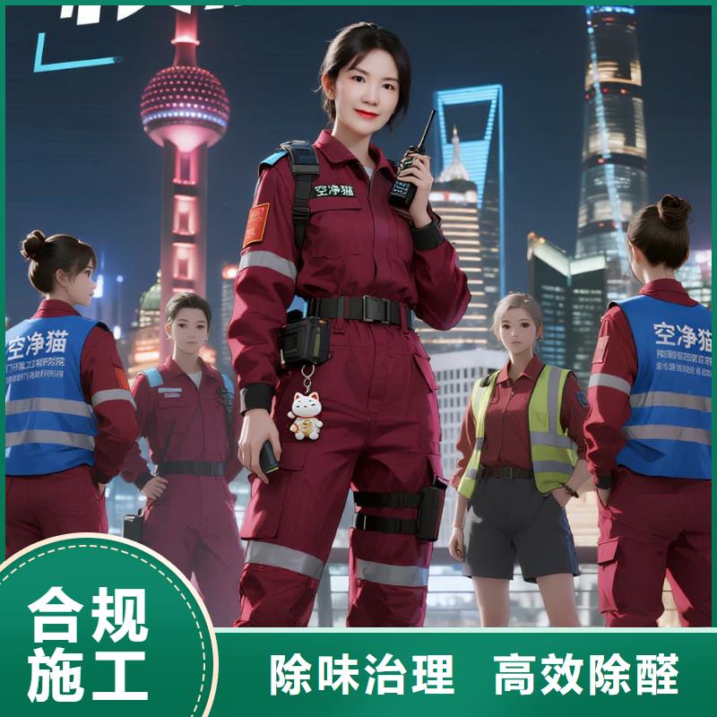 横沥镇上门除甲醛检测治理找空净猫全国直营品牌盐城建湖县高新区配套住区 上门除甲醛公司 空净猫全国直营持证服务