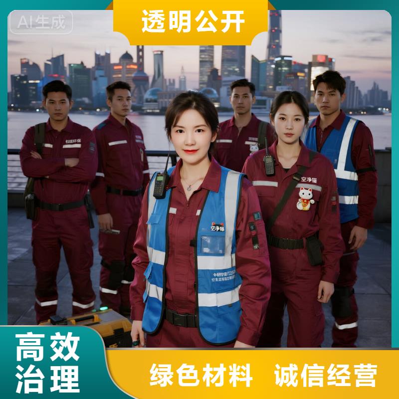 宜城全国直营上门除甲醛检测治理品牌空净猫除甲醛衢州市衢江区杜泽镇 上门除甲醛检测治理公司 空净猫全国直营科学上门