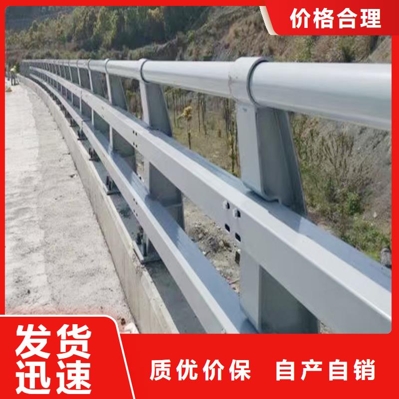 道路灯光护栏性能稳定本地供应商