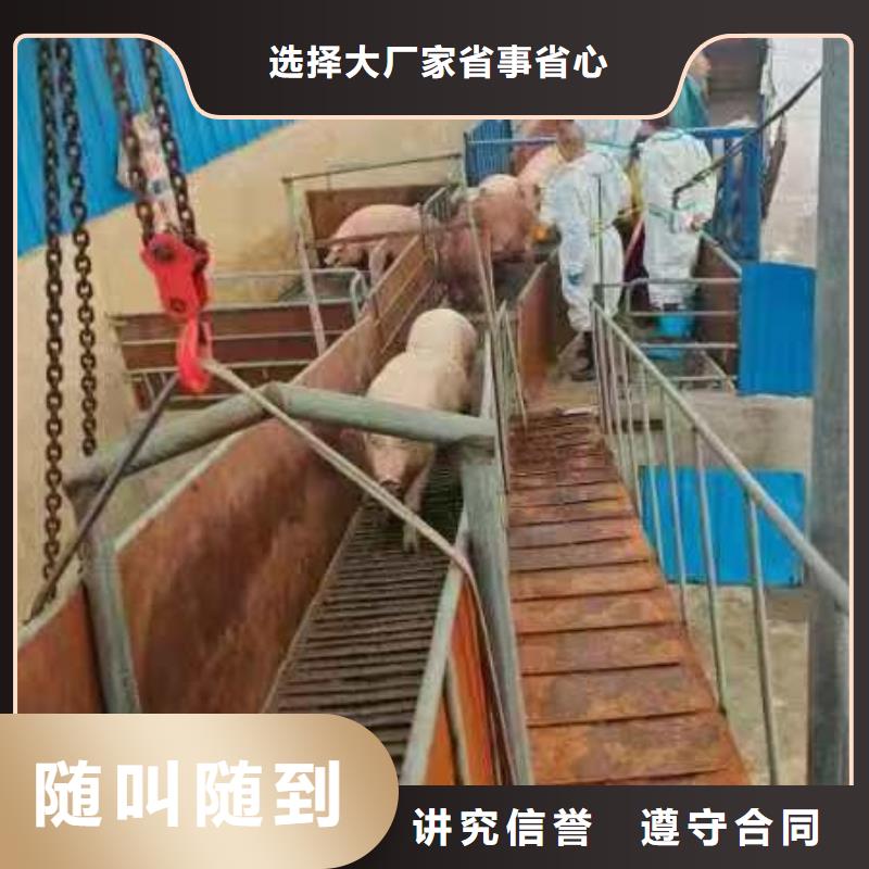 宿迁泗阳到遵义猪只运输专用车-空调车技术可靠
