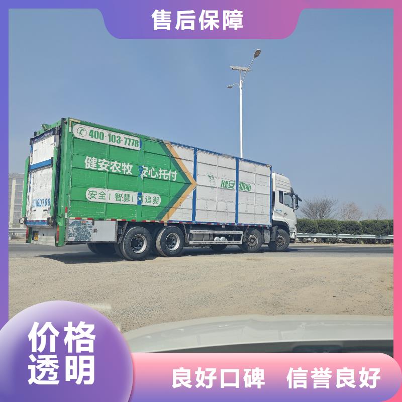 泰安到贺州种猪恒温车运输全程呵护