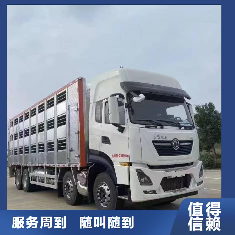 京口到松阳活禽运输空调车快捷