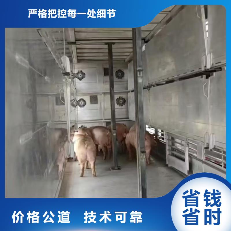 三门峡至成都仔猪运输空调车正规公司