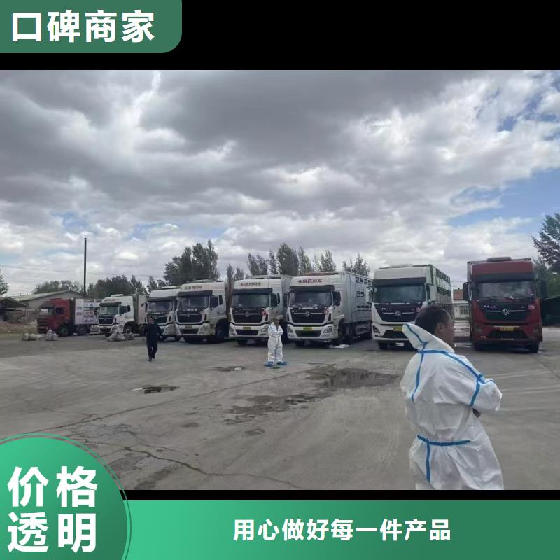 宿迁泗阳到金华猪笼车物流-空调车实力公司