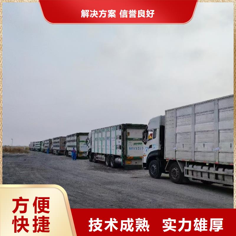 杭州到上海活禽运输恒温车欢迎合作
