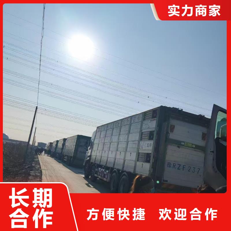 宿迁到庆阳种猪运输资金充裕
