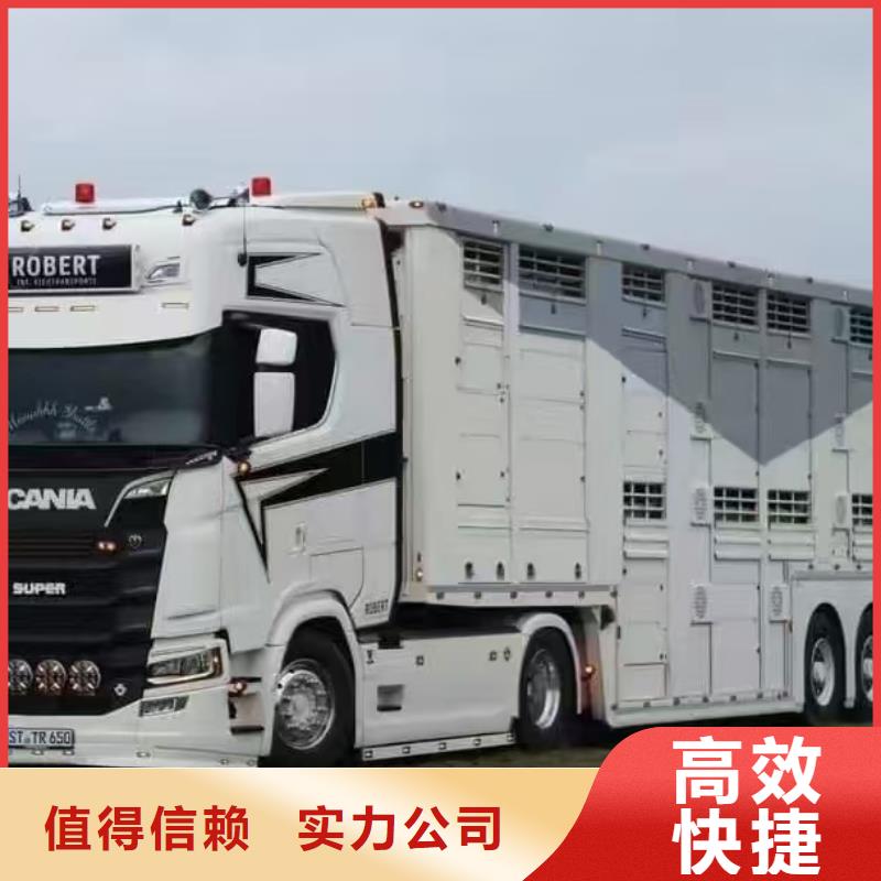 濮阳至南通生猪运输恒温车注重质量