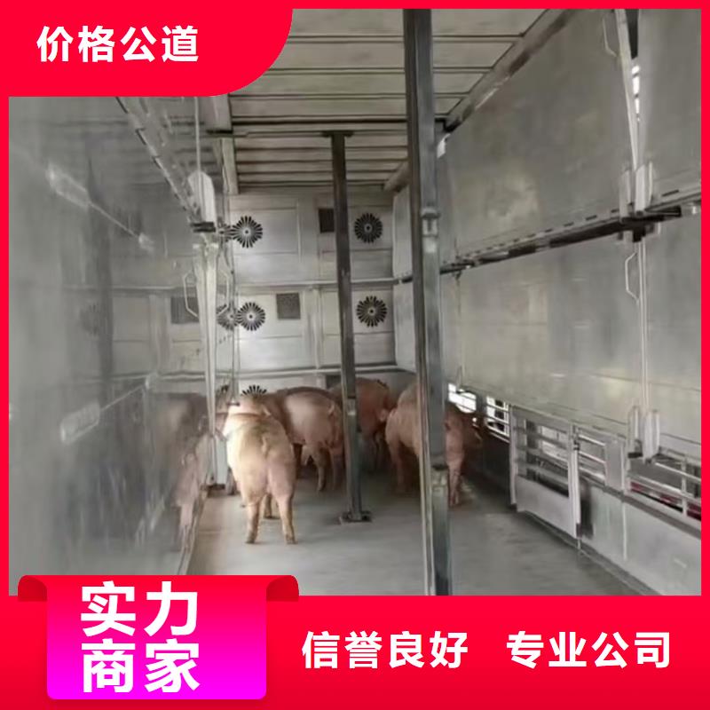 菏泽至福建农牧运输恒温车长期合作