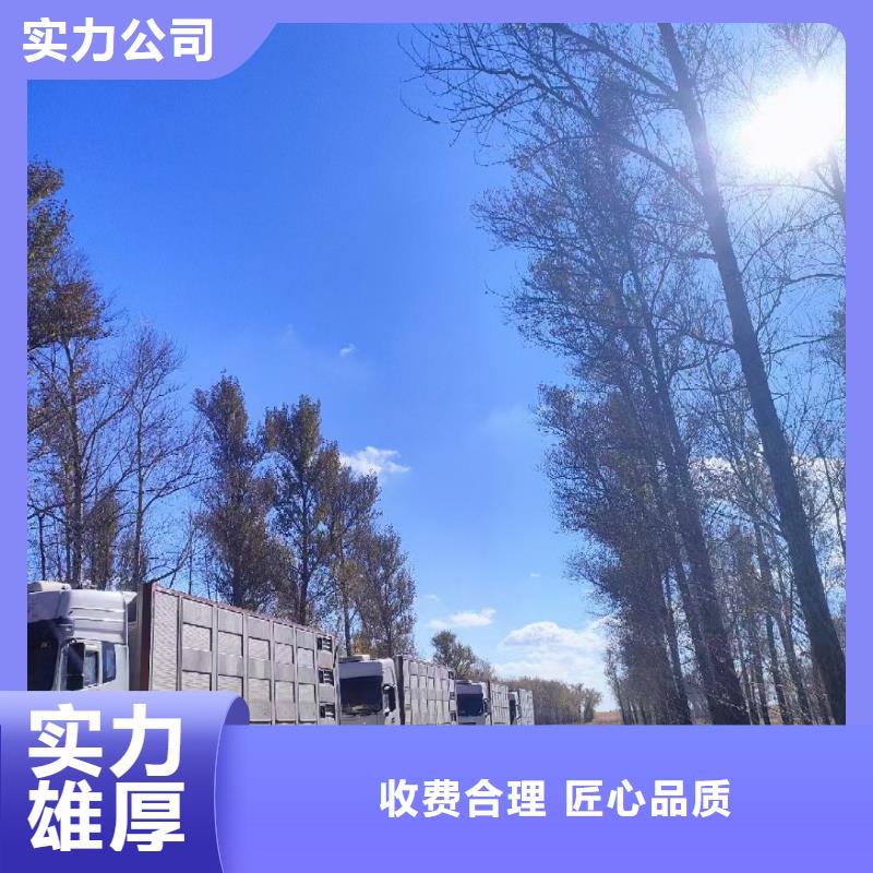 宿迁到张掖仔猪恒温车运输合作广泛