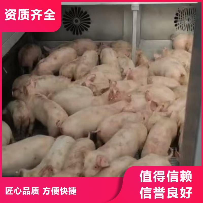 郑州到陕西生猪物流经验丰富