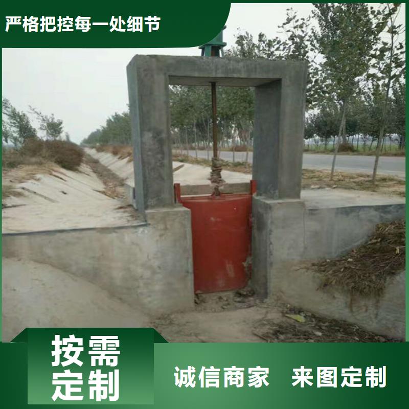 双向镶铜铸铁闸门用心经营价格合理