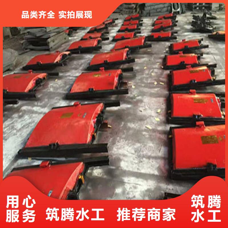 雨污分流闸门源头厂家自营品质有保障