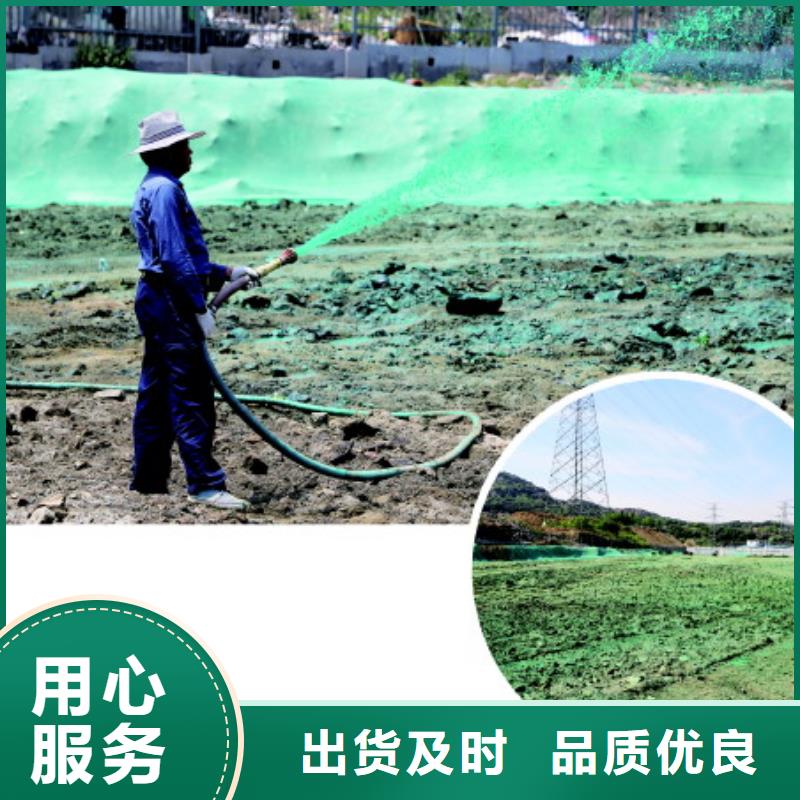 生物酶降尘剂三门今日