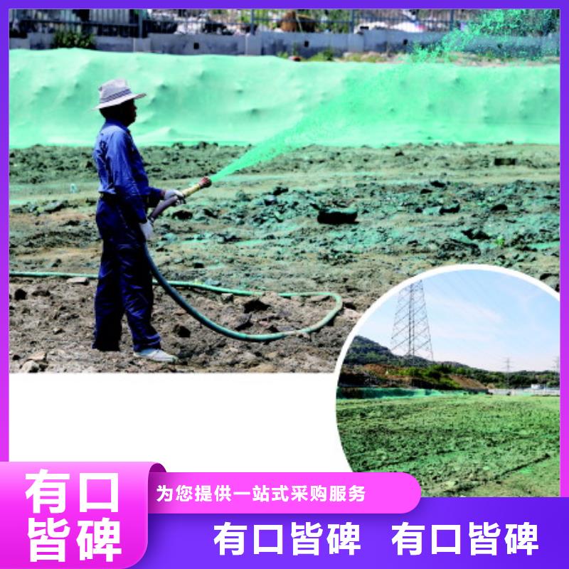 结壳抑尘剂绿色浆技术服务买的放心安兴用的舒心