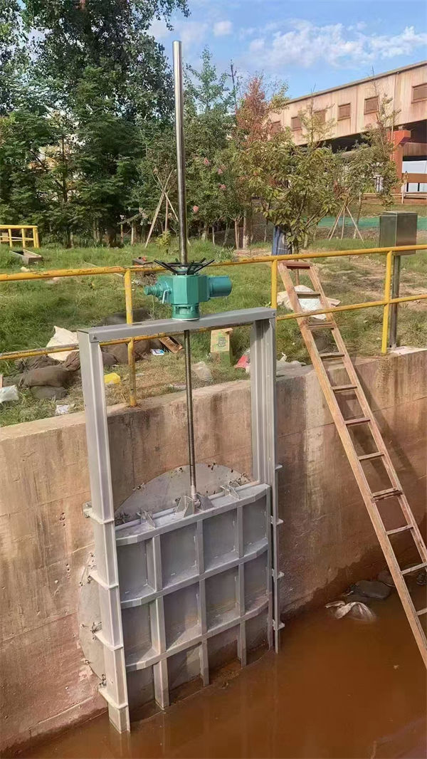 不锈钢闸门316不锈钢闸门货源报价