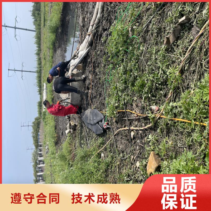 管道气囊封堵公司详情咨询解决方案