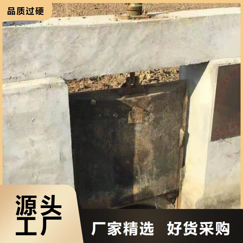 水电站铸铁闸门价格低自主研发