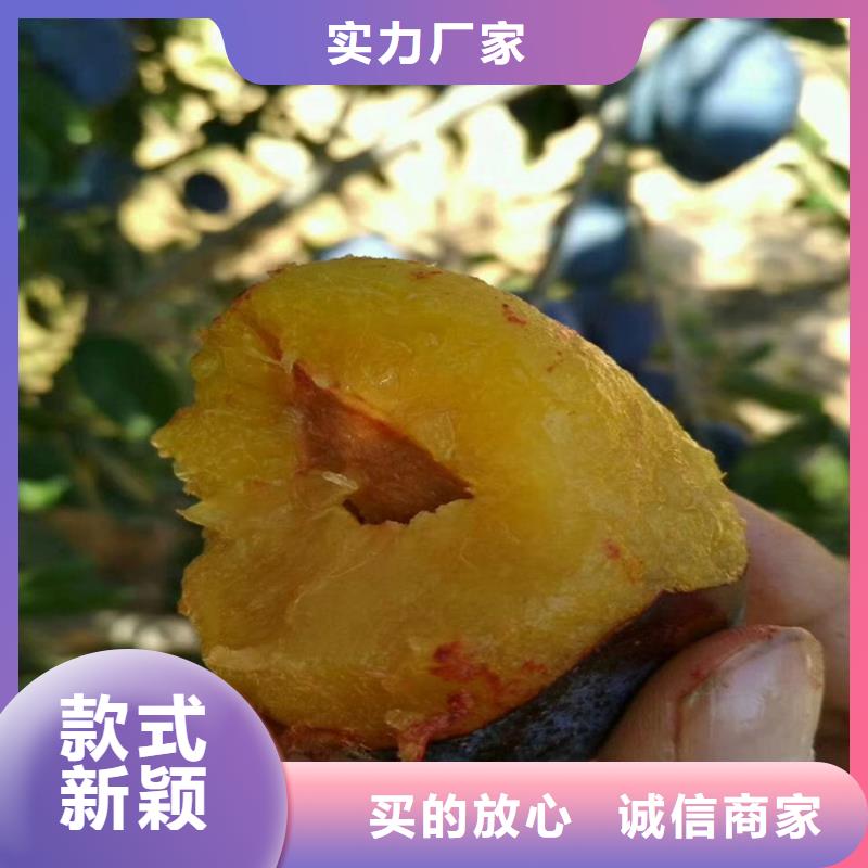 李子,【奶油草莓】品质好才是硬道理当日价格