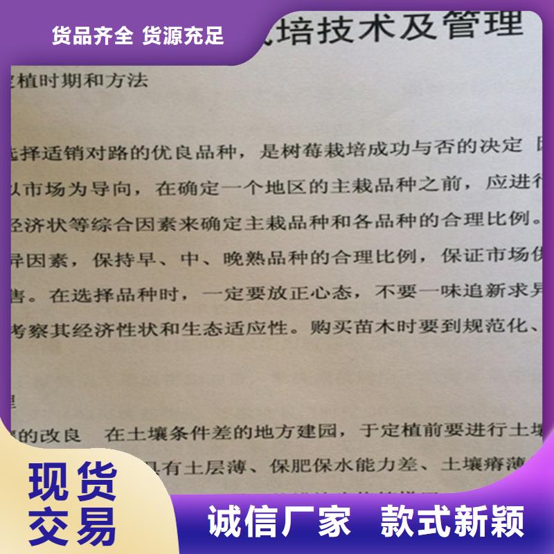 树莓,李子苗畅销本地当地经销商