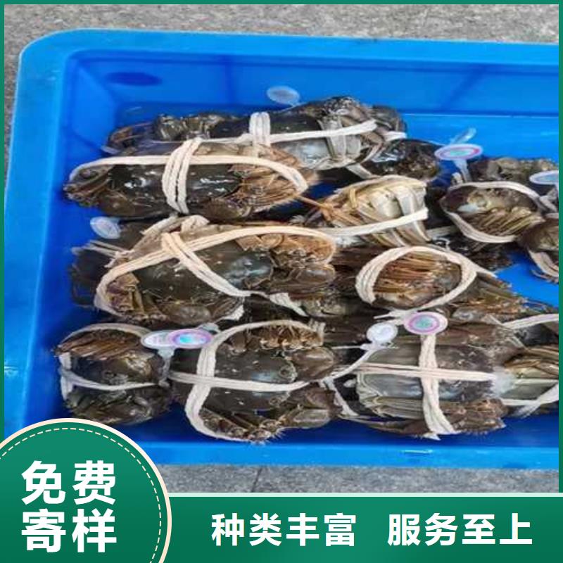 去阳澄湖蟹哪里好在苏州阳澄湖厂家工艺先进