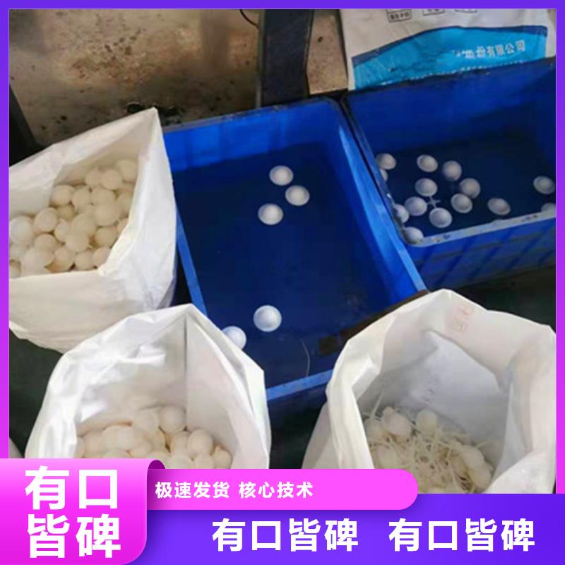 水处理填料-活性炭厂家厂家新品附近货源