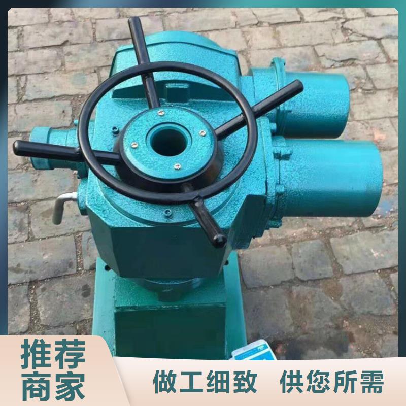 启闭机闸门双吊点手电两用启闭机免费安装调试，终身维护！同城供应商