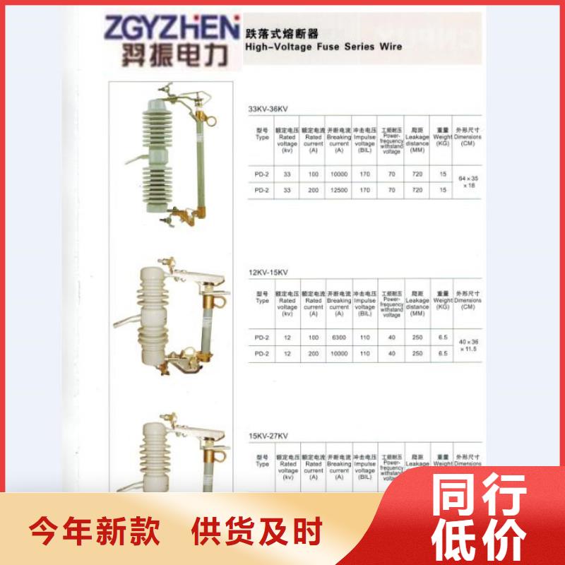 ​熔断器真空断路器优良工艺正规厂家